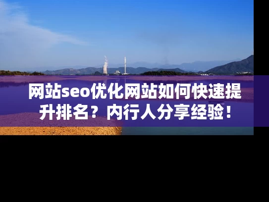 网站seo优化网站如何快速提升排名？内行人分享经验！