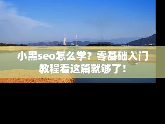 小黑seo怎么学？零基础入门教程看这篇就够了！