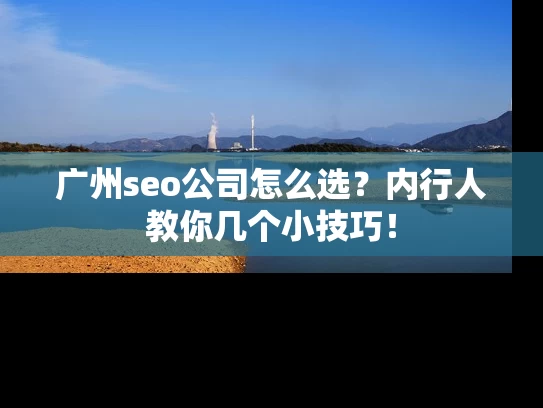广州seo公司怎么选？内行人教你几个小技巧！