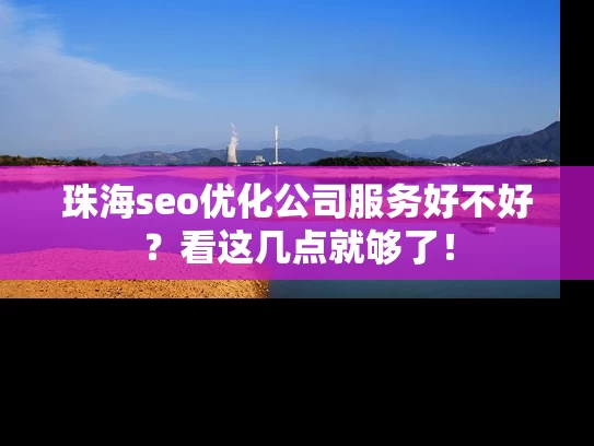 珠海seo优化公司服务好不好？看这几点就够了！