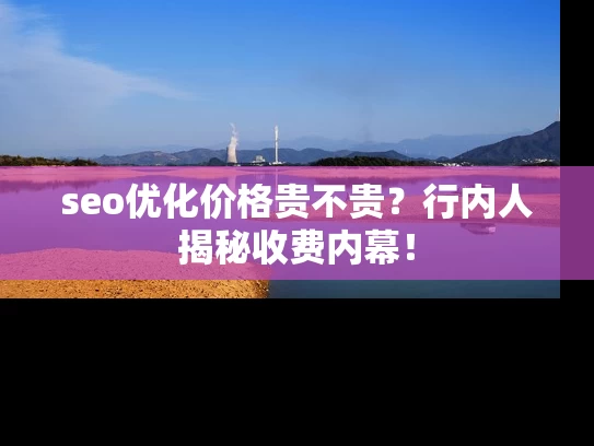 seo优化价格贵不贵？行内人揭秘收费内幕！