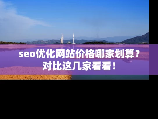 seo优化网站价格哪家划算？对比这几家看看！