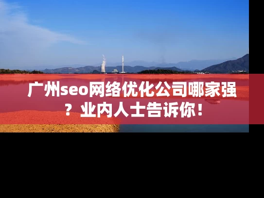 广州seo网络优化公司哪家强？业内人士告诉你！