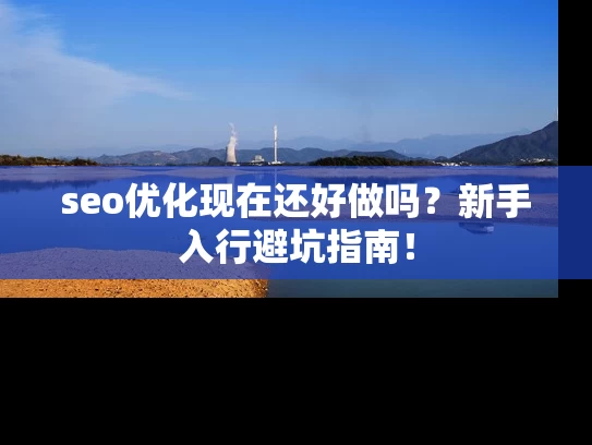 seo优化现在还好做吗？新手入行避坑指南！