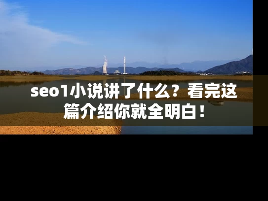 seo1小说讲了什么？看完这篇介绍你就全明白！