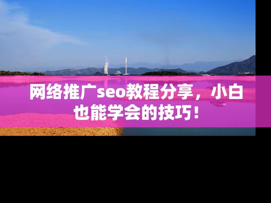 网络推广seo教程分享，小白也能学会的技巧！