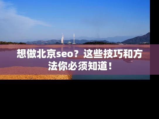 想做北京seo？这些技巧和方法你必须知道！