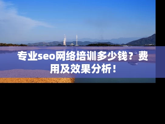 专业seo网络培训多少钱？费用及效果分析！
