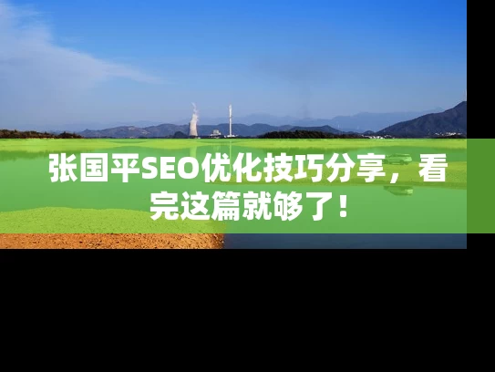 张国平SEO优化技巧分享，看完这篇就够了！