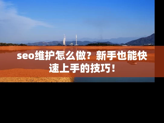 seo维护怎么做？新手也能快速上手的技巧！
