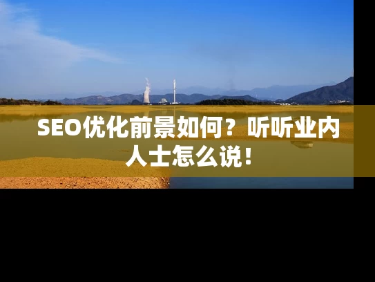 SEO优化前景如何？听听业内人士怎么说！