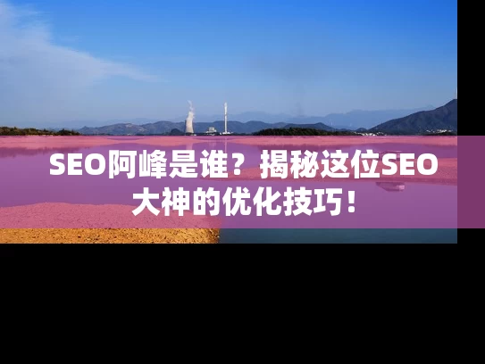 SEO阿峰是谁？揭秘这位SEO大神的优化技巧！