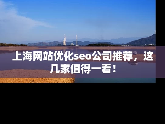 上海网站优化seo公司推荐，这几家值得一看！