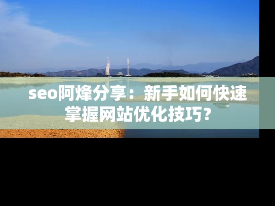 seo阿烽分享：新手如何快速掌握网站优化技巧？