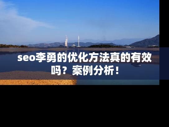 seo李勇的优化方法真的有效吗？案例分析！