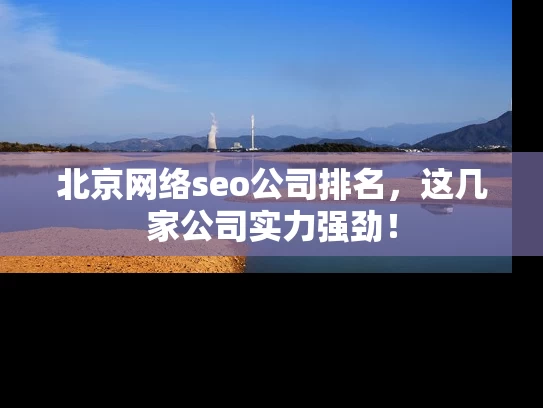 北京网络seo公司排名，这几家公司实力强劲！