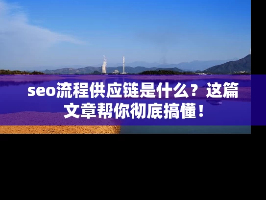 seo流程供应链是什么？这篇文章帮你彻底搞懂！