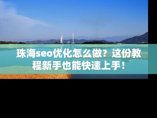珠海seo优化怎么做？这份教程新手也能快速上手！