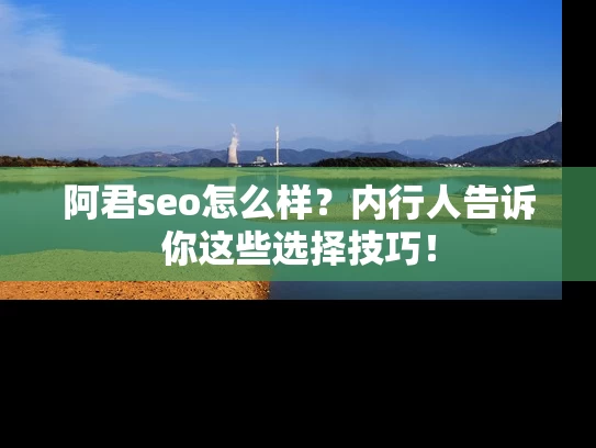 阿君seo怎么样？内行人告诉你这些选择技巧！