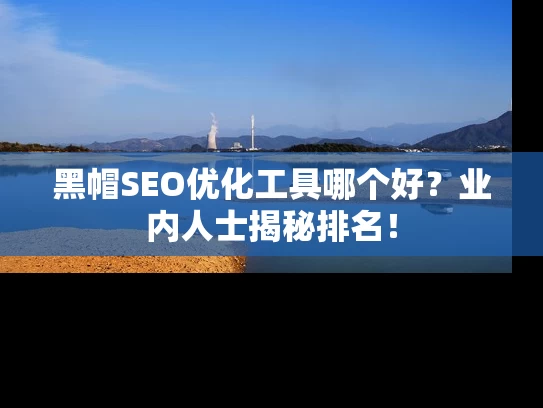 黑帽SEO优化工具哪个好？业内人士揭秘排名！