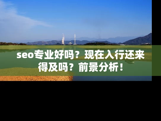 seo专业好吗？现在入行还来得及吗？前景分析！
