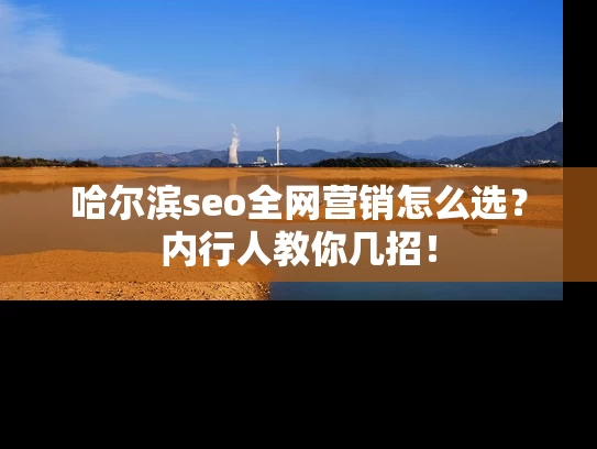 哈尔滨seo全网营销怎么选？内行人教你几招！