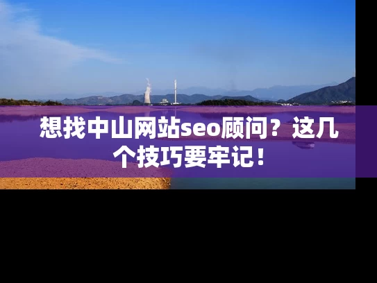 想找中山网站seo顾问？这几个技巧要牢记！