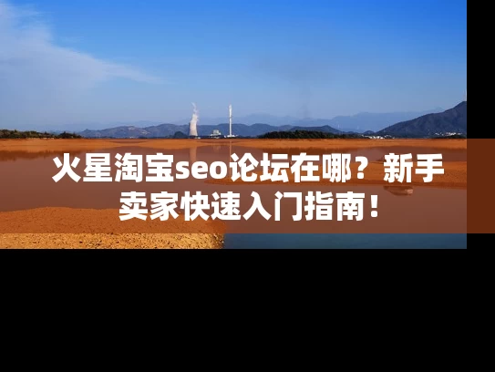 火星淘宝seo论坛在哪？新手卖家快速入门指南！