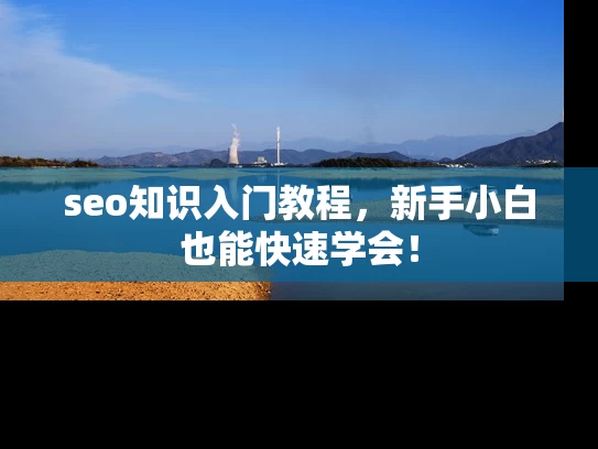 seo知识入门教程，新手小白也能快速学会！