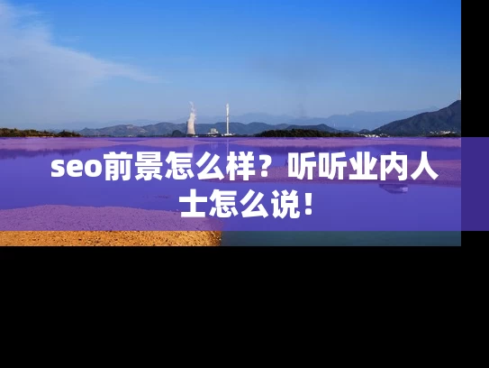 seo前景怎么样？听听业内人士怎么说！