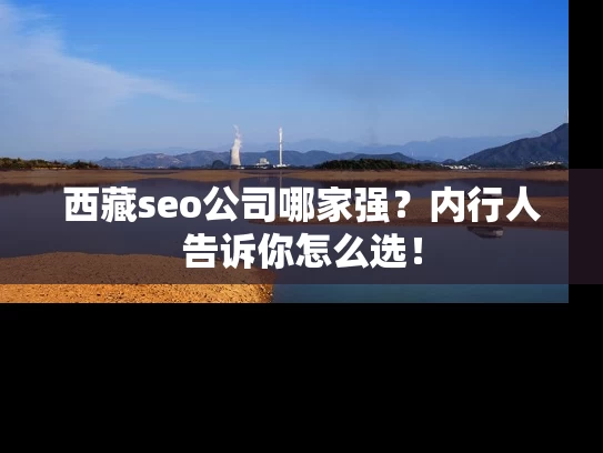 西藏seo公司哪家强？内行人告诉你怎么选！