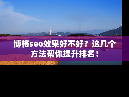 博格seo效果好不好？这几个方法帮你提升排名！