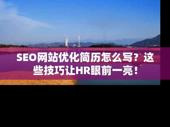 SEO网站优化简历怎么写？这些技巧让HR眼前一亮！