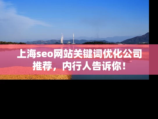 上海seo网站关键词优化公司推荐，内行人告诉你！