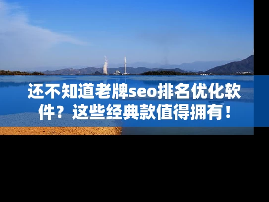 还不知道老牌seo排名优化软件？这些经典款值得拥有！