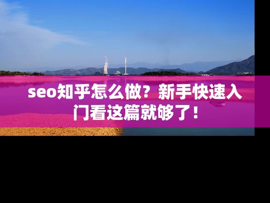 seo知乎怎么做？新手快速入门看这篇就够了！