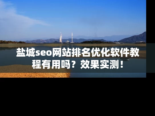 盐城seo网站排名优化软件教程有用吗？效果实测！