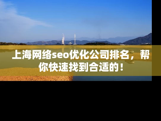上海网络seo优化公司排名，帮你快速找到合适的！