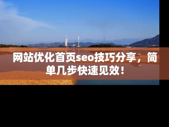 网站优化首页seo技巧分享，简单几步快速见效！