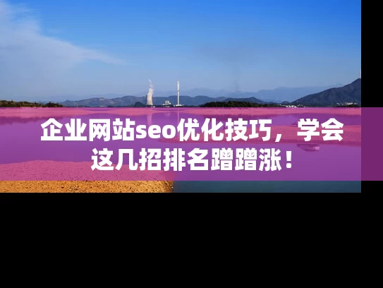 企业网站seo优化技巧，学会这几招排名蹭蹭涨！