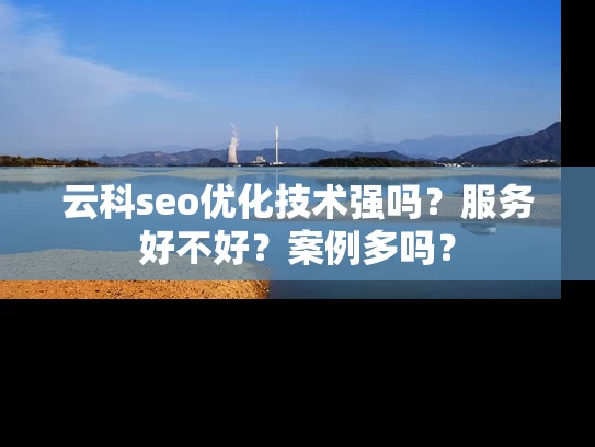 云科seo优化技术强吗？服务好不好？案例多吗？