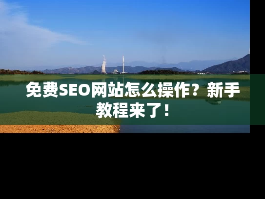免费SEO网站怎么操作？新手教程来了！