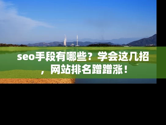 seo手段有哪些？学会这几招，网站排名蹭蹭涨！