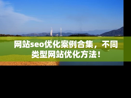 网站seo优化案例合集，不同类型网站优化方法！