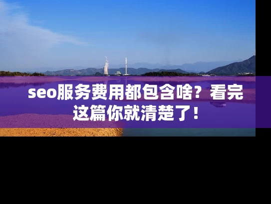 seo服务费用都包含啥？看完这篇你就清楚了！