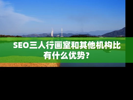 SEO三人行画室和其他机构比有什么优势？