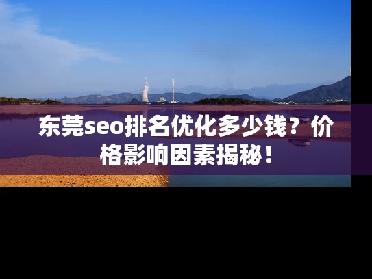 东莞seo排名优化多少钱？价格影响因素揭秘！