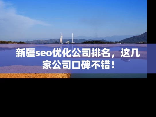 新疆seo优化公司排名，这几家公司口碑不错！