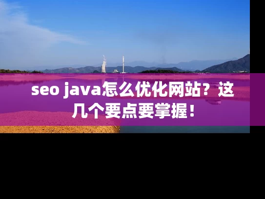seo java怎么优化网站？这几个要点要掌握！