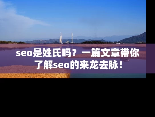 seo是姓氏吗？一篇文章带你了解seo的来龙去脉！